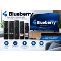 Kako pronaći odgovarajući daljinski za Blueberry TV